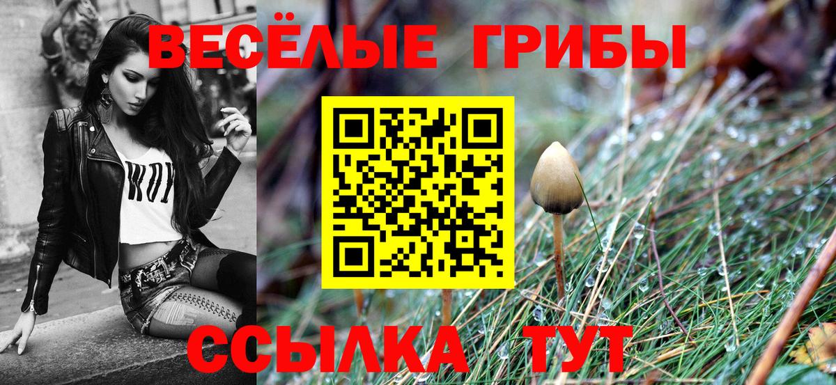 Галлюциногенные грибы мухоморы Сосновый Бор